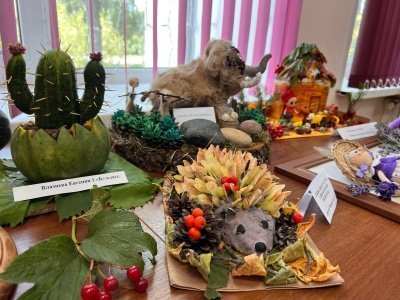 Дары осени представили жители с. Барановское