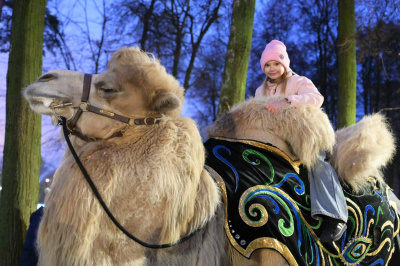 Открытие зимнего сезона в парке усадьбы Кривякино Открытие зимнего сезона в парке усадьбы Кривякино