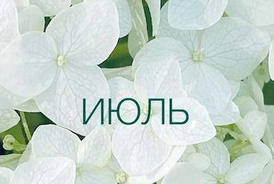 План мероприятий на июль