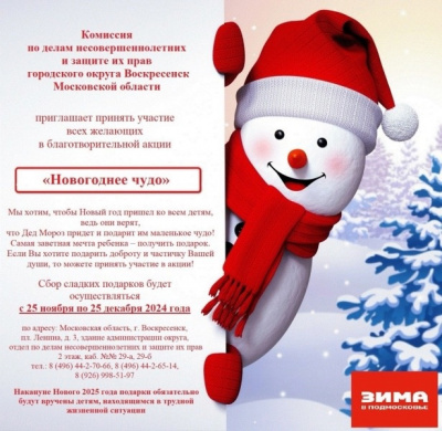 Неравнодушных жителей Воскресенска приглашают принять участие в благотворительной акции «Новогоднее чудо»