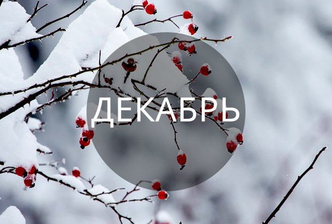 План мероприятий на ДЕКАБРЬ План мероприятий на ДЕКАБРЬ