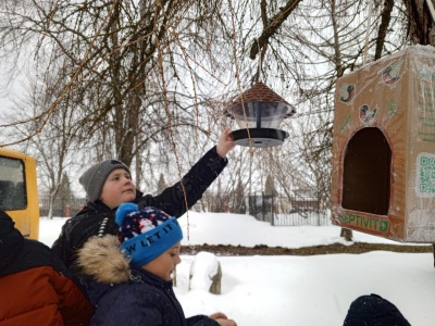 Сотрудники учреждений культуры провели мероприятия в рамках акции "Покорми птиц зимой"