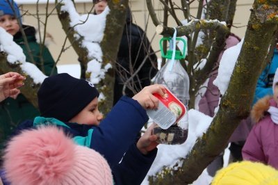 «Помогаем пернатым друзьям»