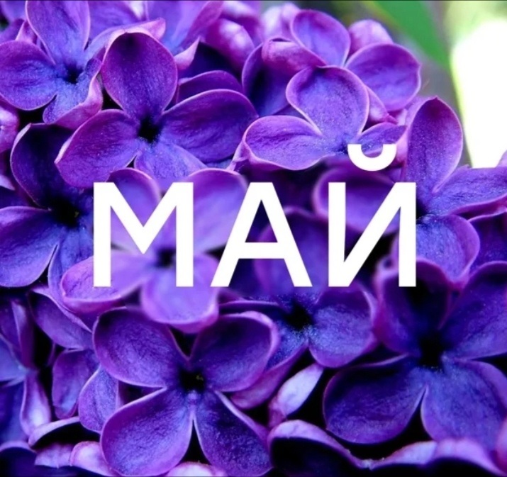 План мероприятий на май