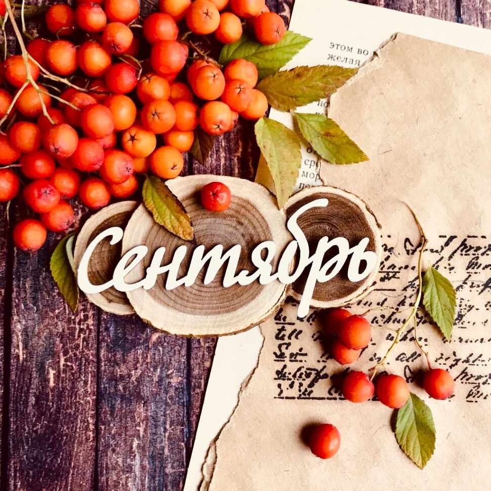 План мероприятий на СЕНТЯБРЬ
