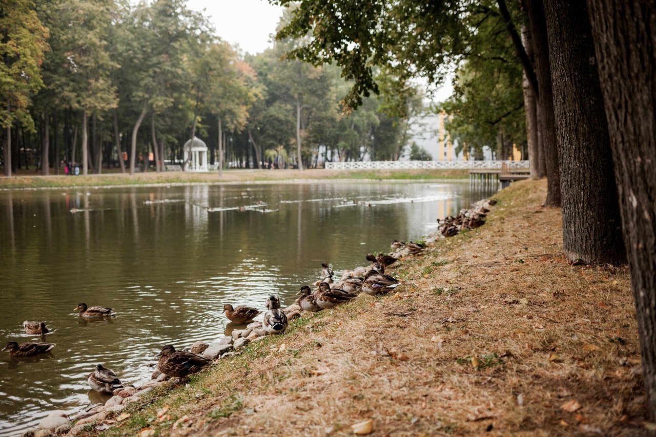 парк лосино петровский