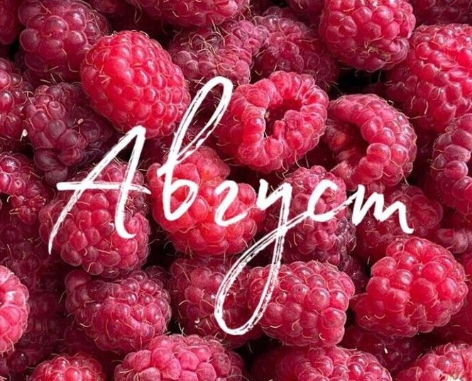 План мероприятий на август План мероприятий на август