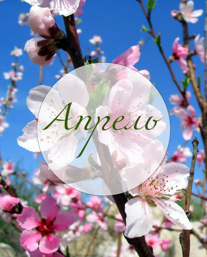 План мероприятий на апрель План мероприятий на апрель