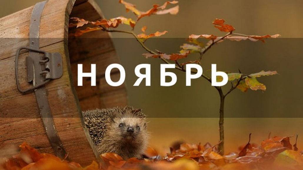 План мероприятий на НОЯБРЬ План мероприятий на НОЯБРЬ